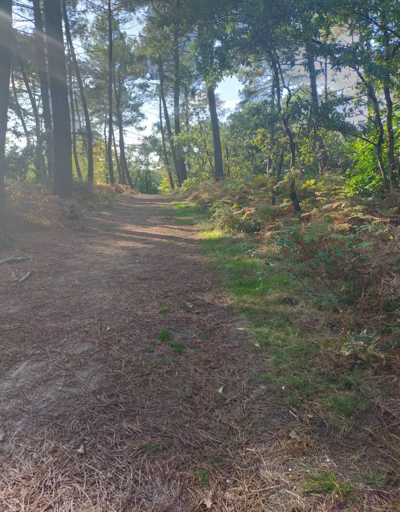 Boucle ~5kmà Chambiers - Durtal