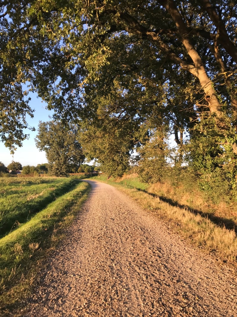 Tour cœur de village de Montberon - Montberon