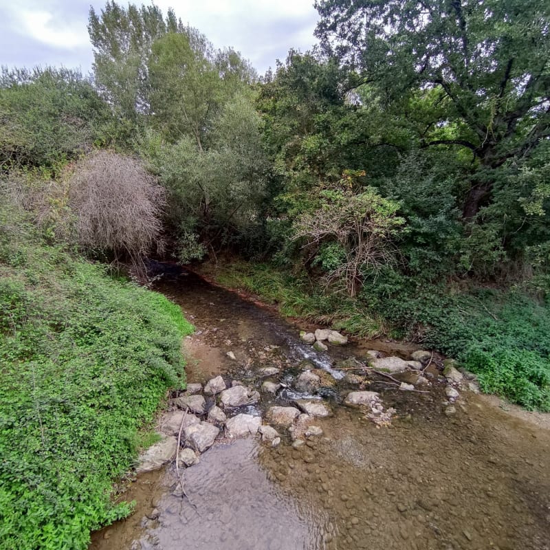 Boucle détente pat le bois de Naspe et l'Aussonnelle - Colomiers