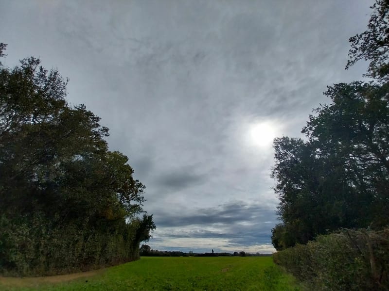 Bord de Saône - Lamarche-sur-Saône