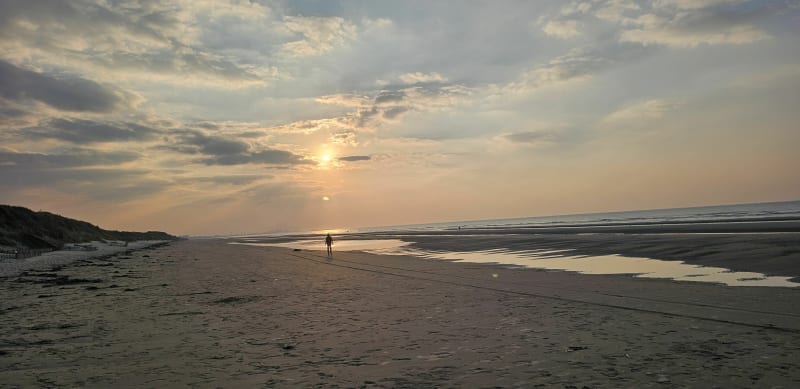Balade dans la reserve naturelle de, la dune Marchand - Bray-Dunes