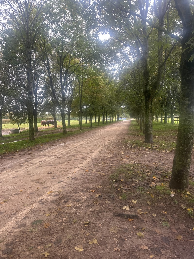 La Table d'Apremont, part le polo - Apremont