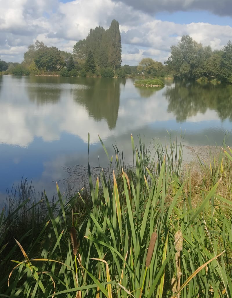 Boucle de Parigné-l'Évêque et son plan d'eau - Parigné-l'Évêque