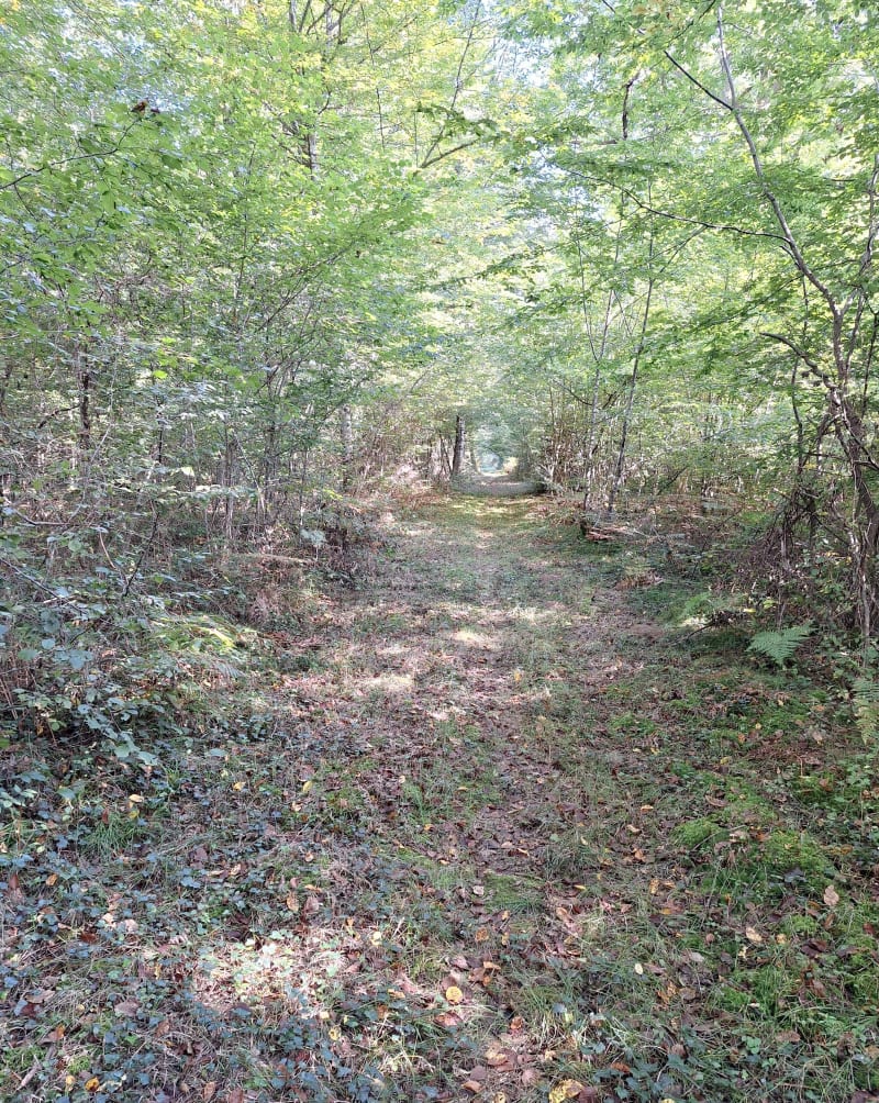 Grand tour de l'étang de Poncey, par Magny - Poncey-lès-Athée