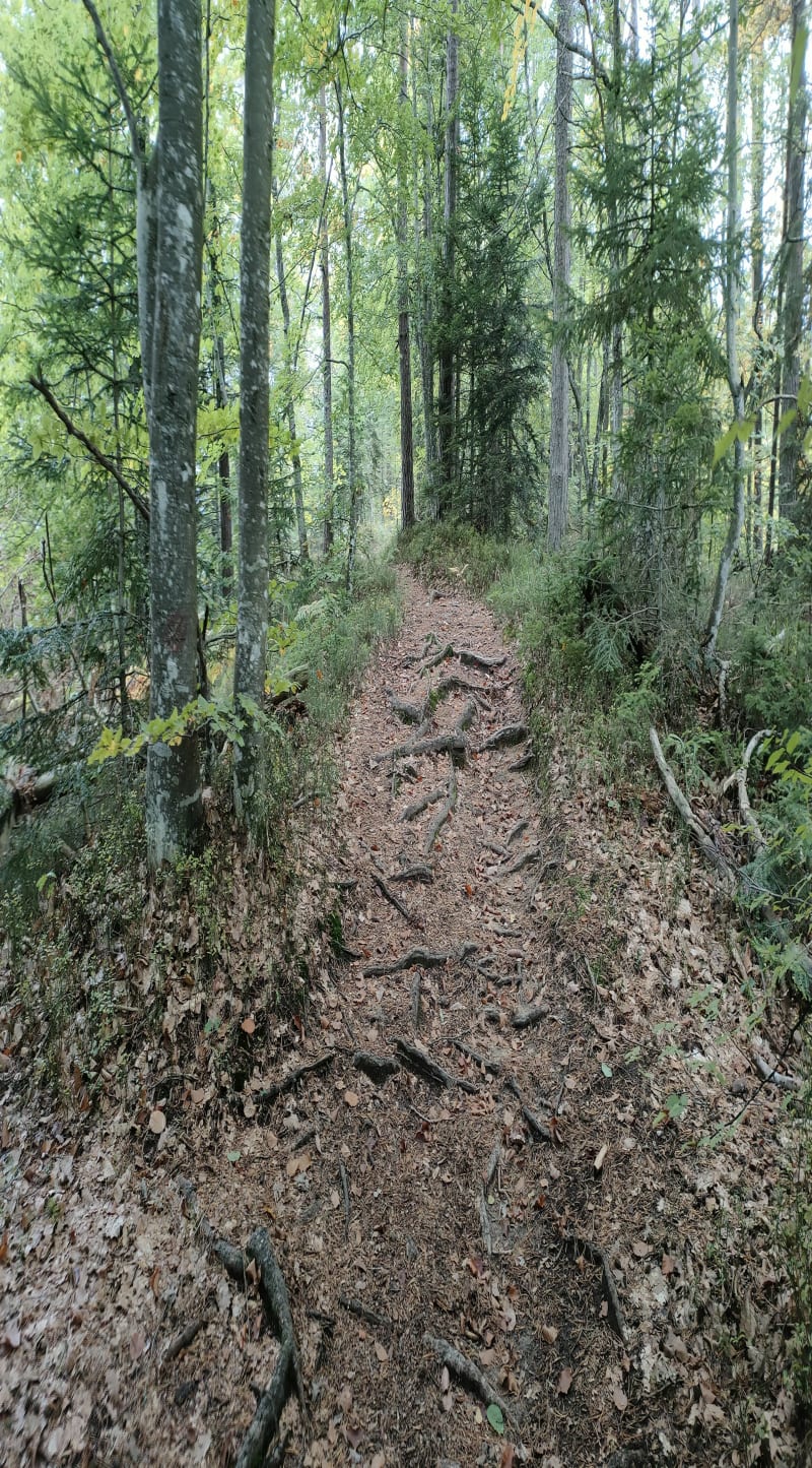 Boucle du Mont Vouan - Saint-André-de-Boëge