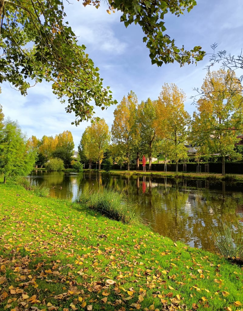 Etangs, forêt et voie verte autour Châteaubriant - Châteaubriant