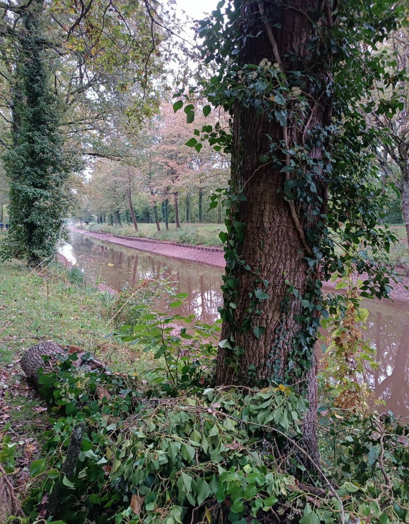 Boucle au départ de Moulinsart - Fillé