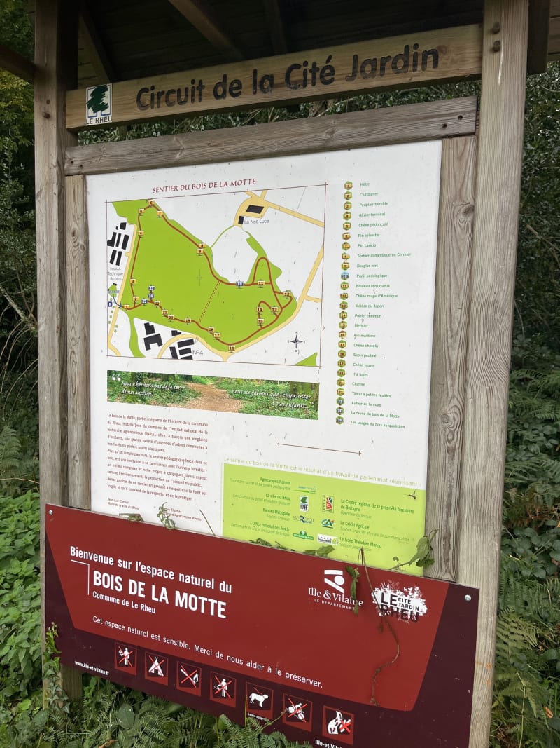 Bois de la Motte - Le Rheu
