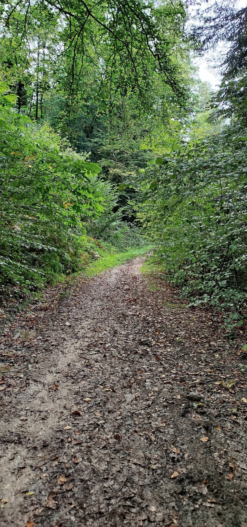Circuit au départ d'Armoripark à Bégard - Bégard