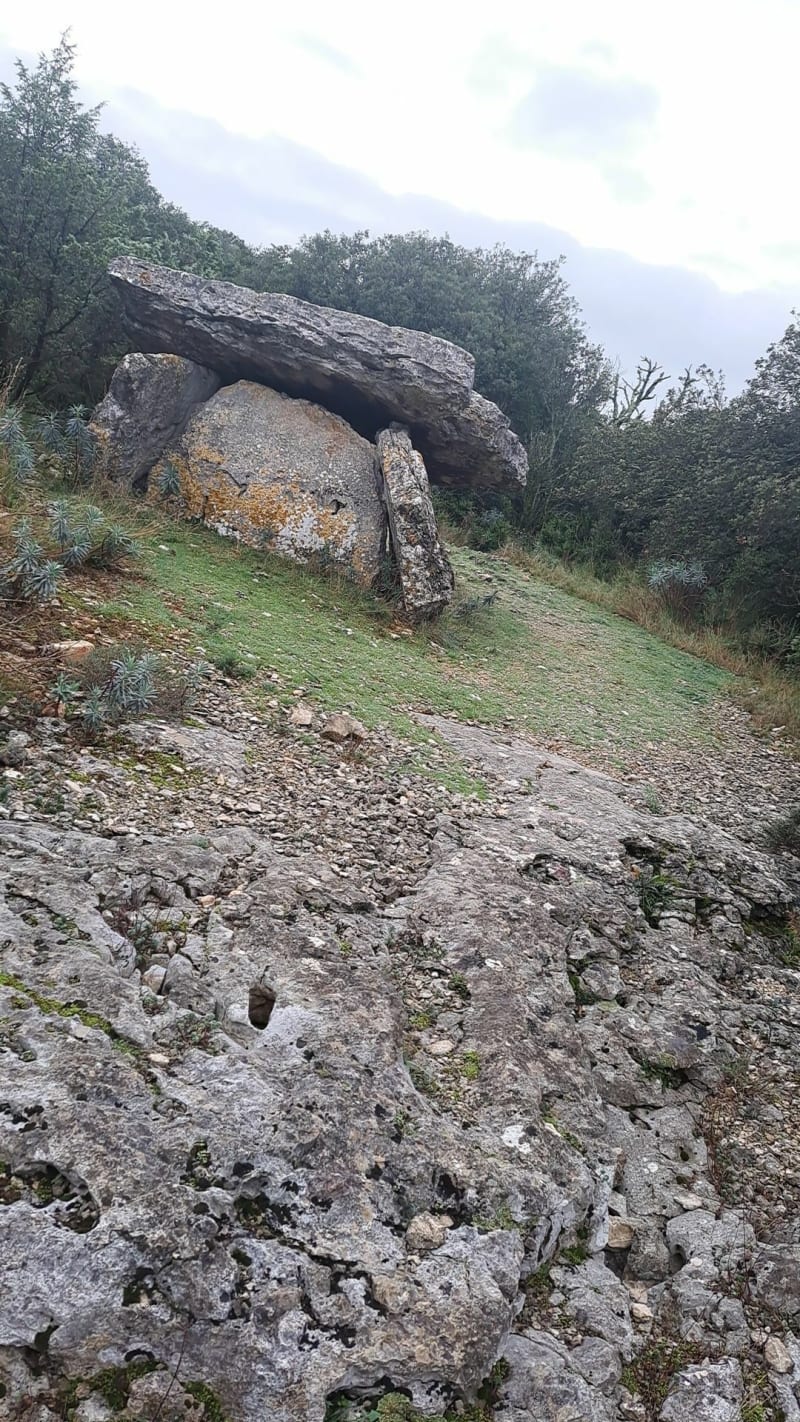 Dolmen de Champvermeil - Bidon
