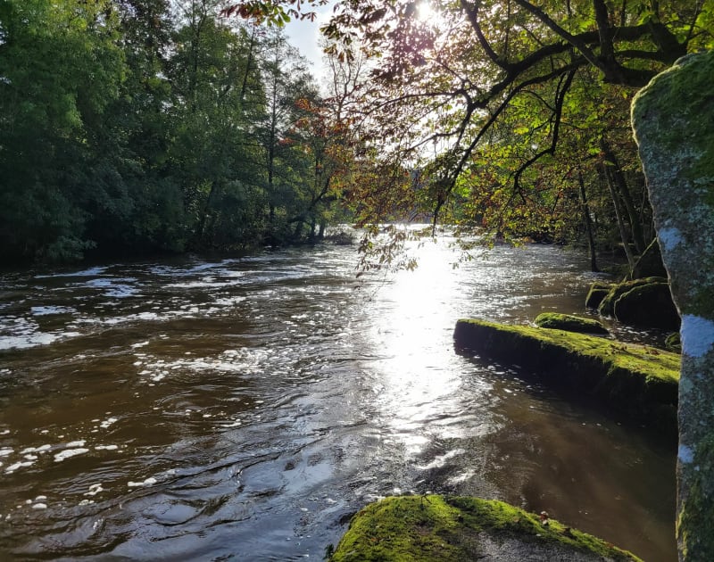 Boucle entre Sèvre nantaise et Moine, Clisson/Gétigné. - Clisson
