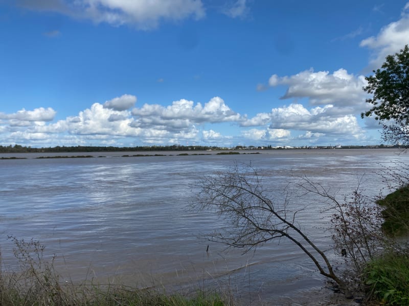 Boucle par Arsac, entre vignes et Garonne à Ludon-Médoc - Ludon-Médoc
