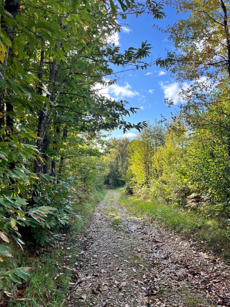 Balade d’automne - Saint-Hilaire-de-Villefranche