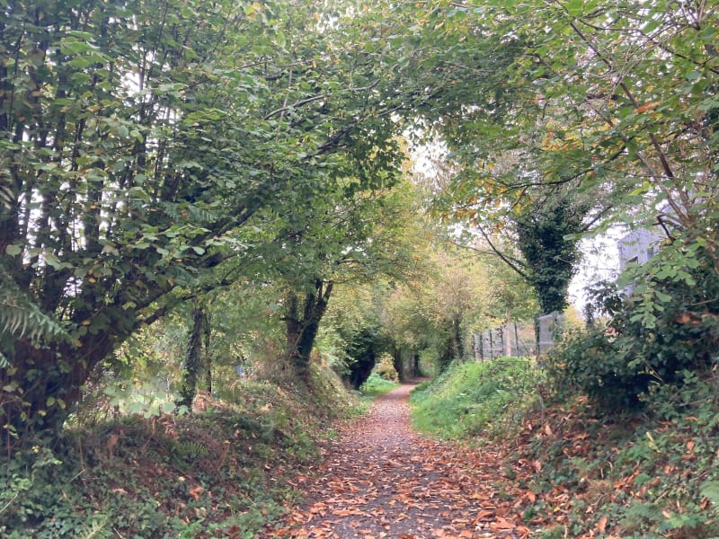 Circuit à la découverte des petits chemins dans la ville - Saint-Lô