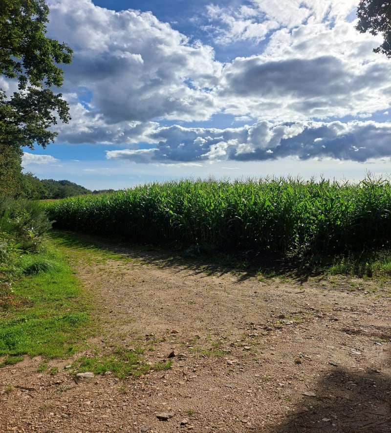 Rando à Arzano dans la campagne - Arzano