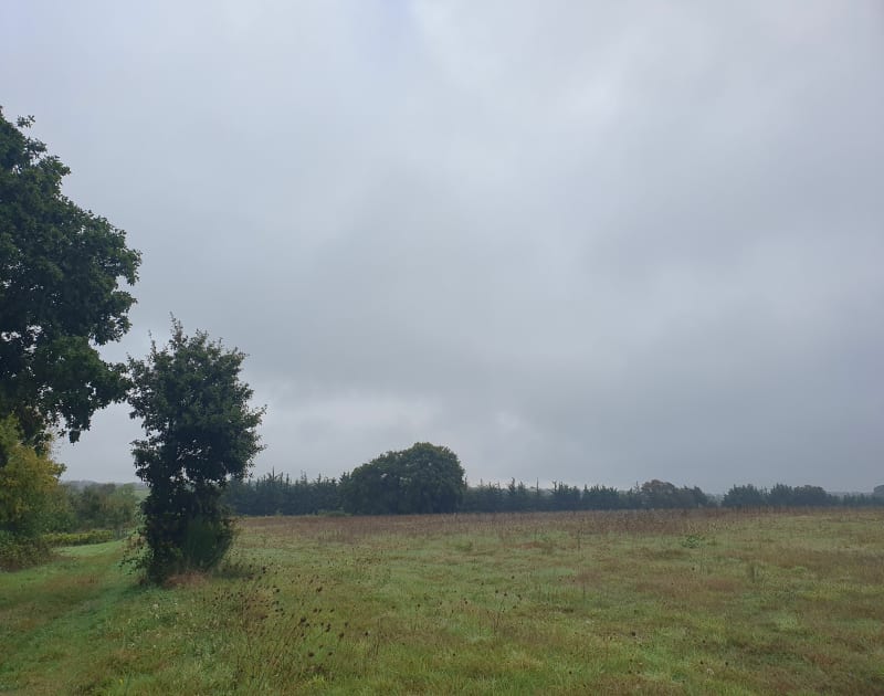 Saint Mars du Désert - Voie verte et moulin de la pépinière - Saint-Mars-du-Désert
