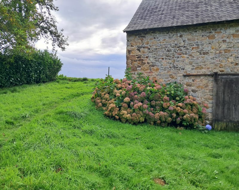 Chatillon en vendelais - Châtillon-en-Vendelais