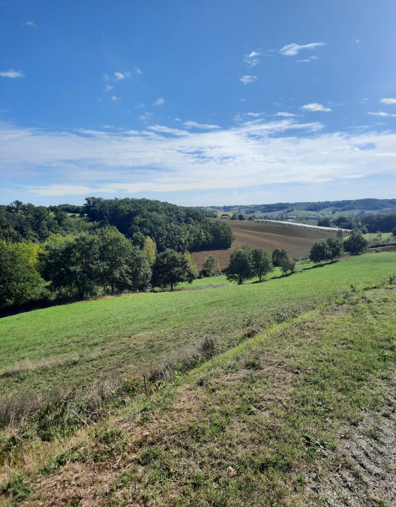 PR2 circuit du château et du lemboulas - Vazerac