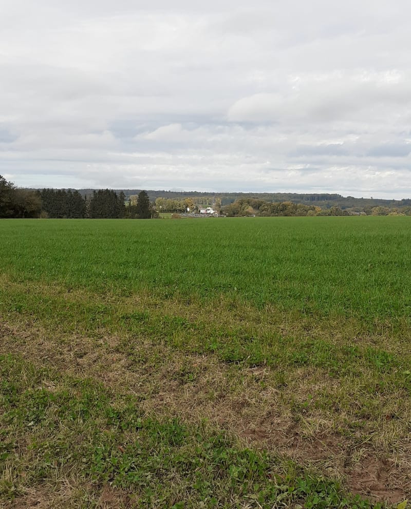 Bellefontaine par Jaillerey, les Duchenes - Bellefontaine