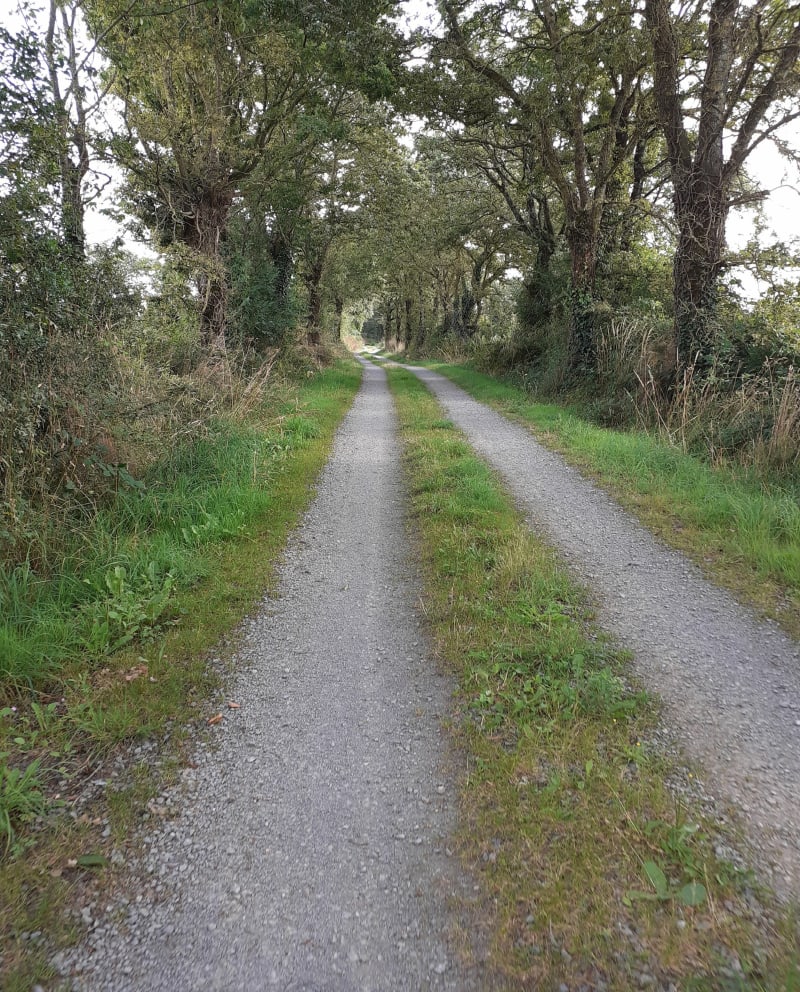 De la Gaub en passant par Les Landes Genusson - La Gaubretière