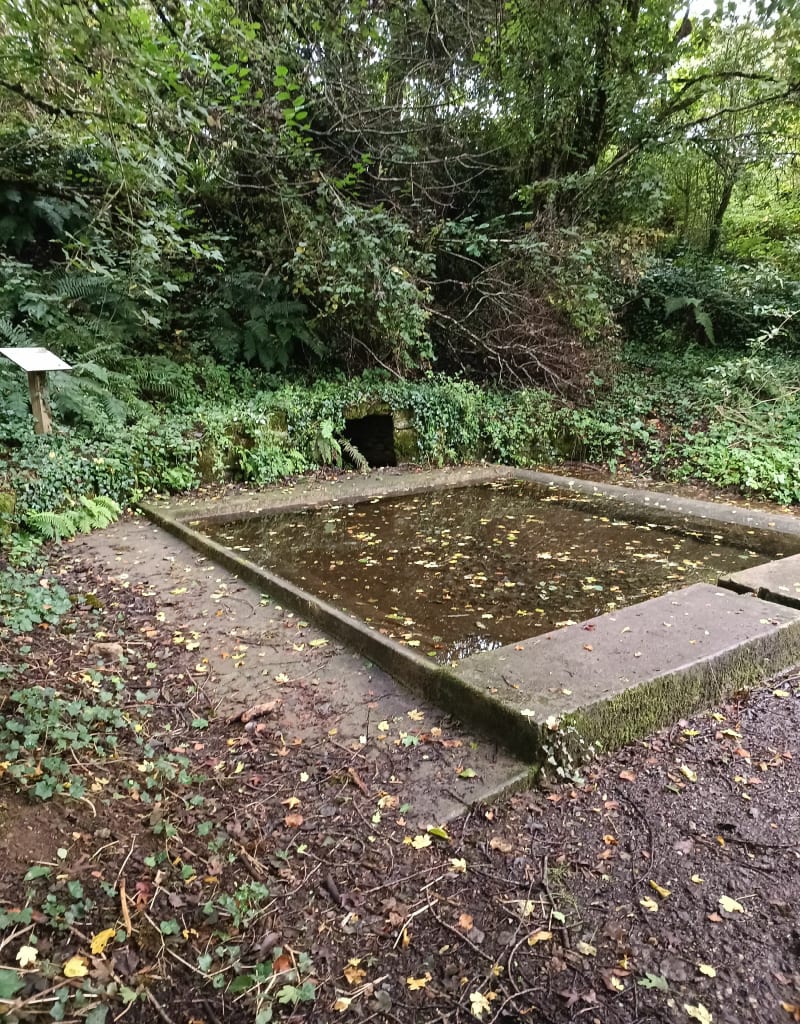 Celle-Lévescault via Le Coudret et le Lavoir - Celle-Lévescault