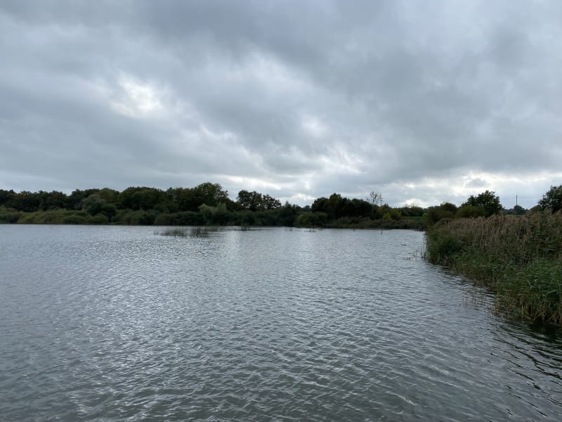 De l'étang des Noues au Parc de Ribou - Cholet