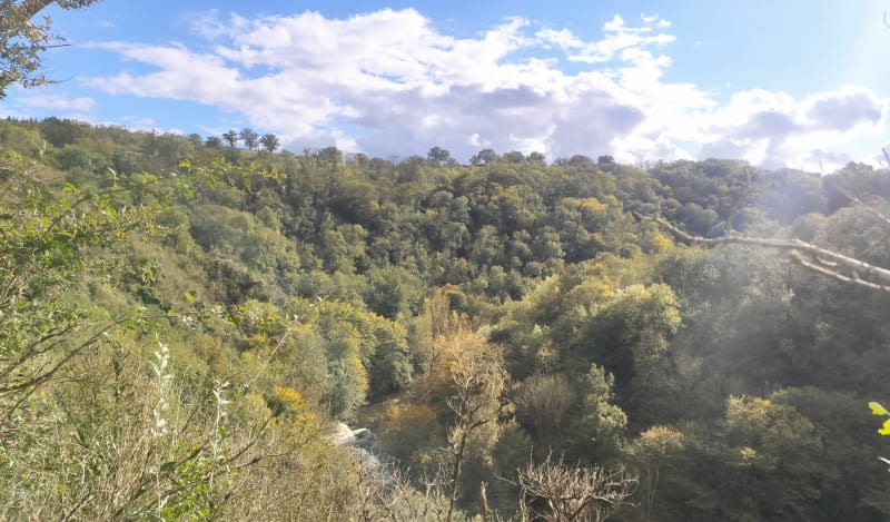 Château de l'Ours - Lignerolles