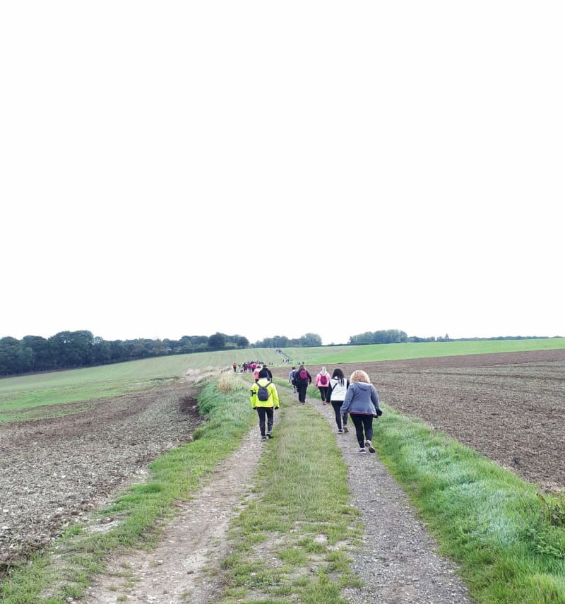 Marche champêtre autour de Longuenesse - Longuenesse