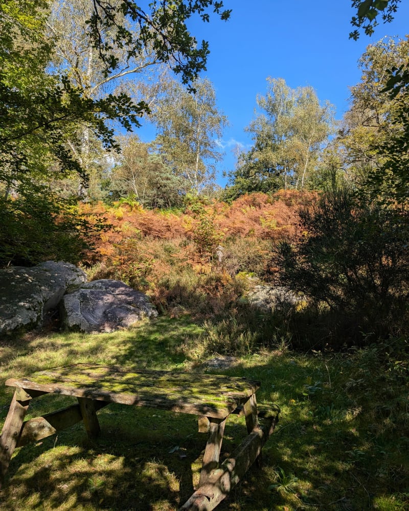 Les vaux de Cernay - Cernay-la-ville