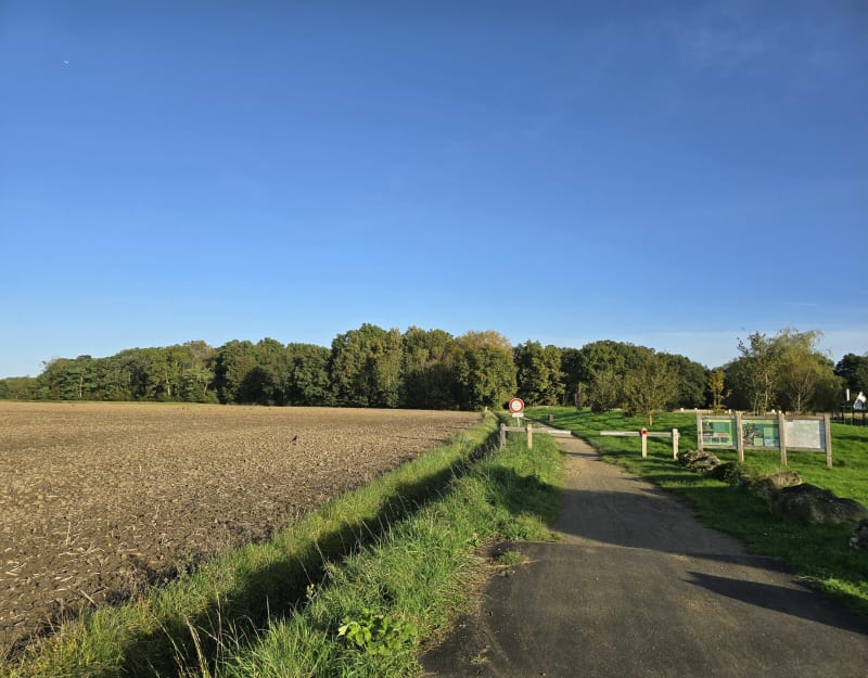 Grand tour au nord de Brie-Comte-Robert - Servon