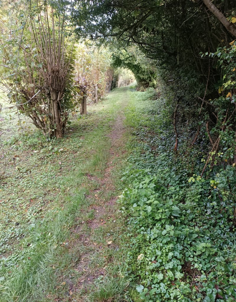 Balade autour de Clermont - Clermont