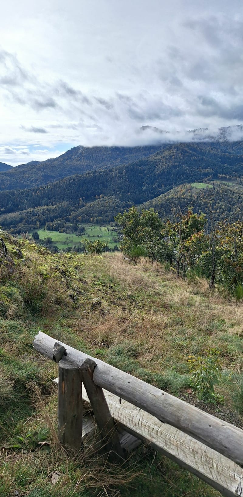 Marche autour de Moosch - Moosch
