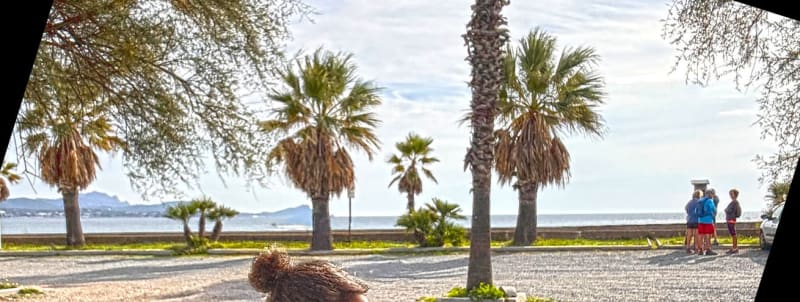 De Fréjus à Saint-Aygulf par la piste cyclable et le bord de mer - Fréjus