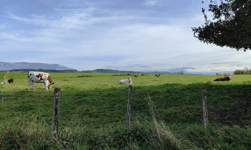 Étant de Crosagny et Bottière - Saint-Félix