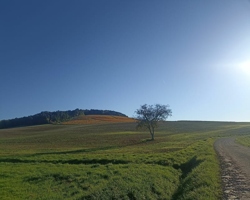 Superbe point de vue sur le Barsuraubois - Ailleville
