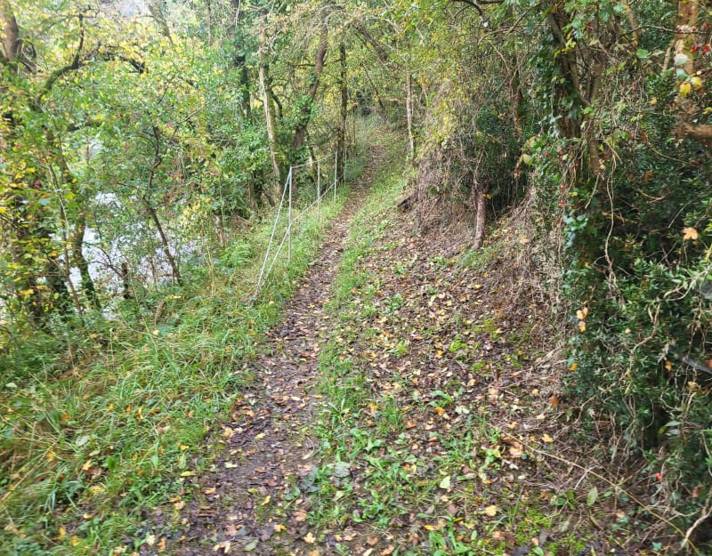Chemin de la Vire - Tessy-Bocage