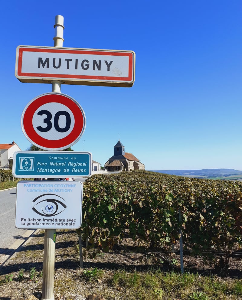 De Mutigny à Ay - Mutigny