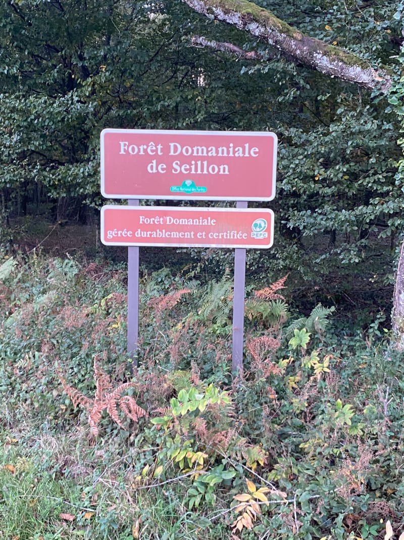 Balade en forêt Seillon, par les Coupes Blanches - Péronnas