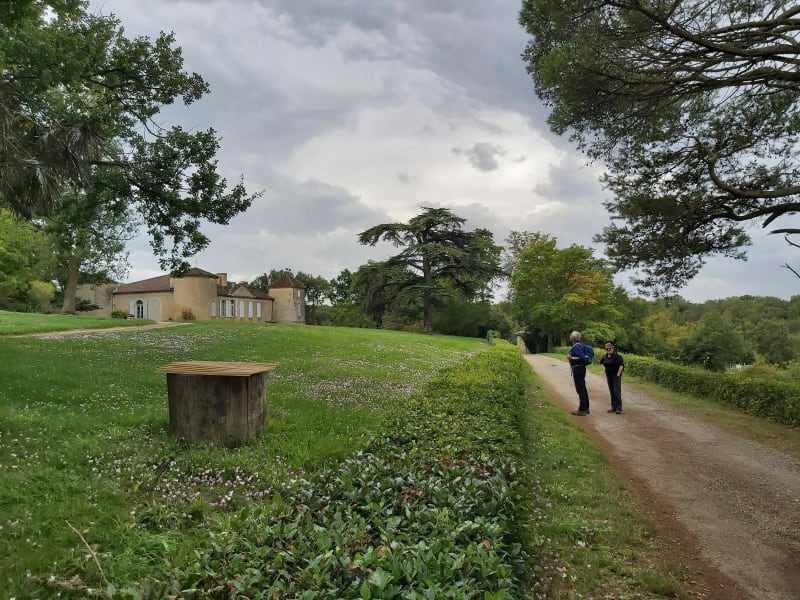 La rando des cyclamens à Malartic - Montaut-les-Créneaux