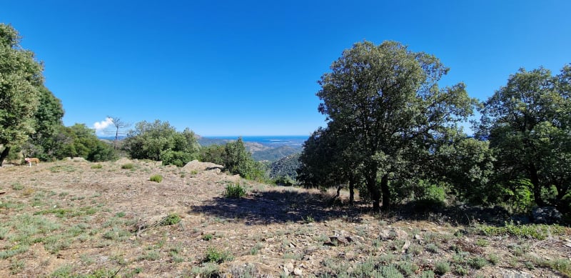Bonne balade à Gonfaron - Gonfaron