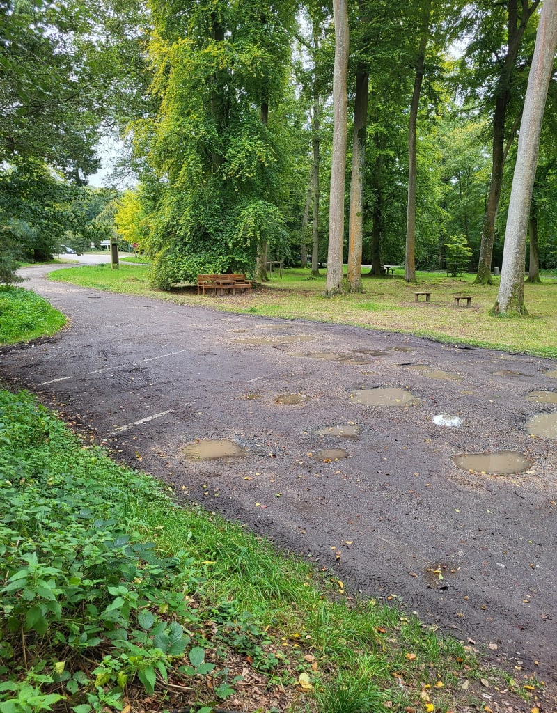 Boucle dans les Bois de La Londe-Rouvray - La Londe