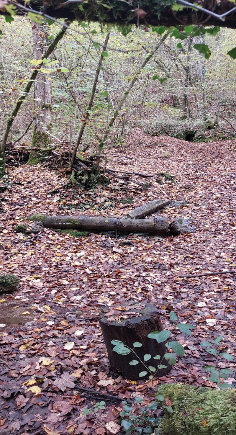 A la découverte de la source Sainte Anne - Bainville-sur-Madon
