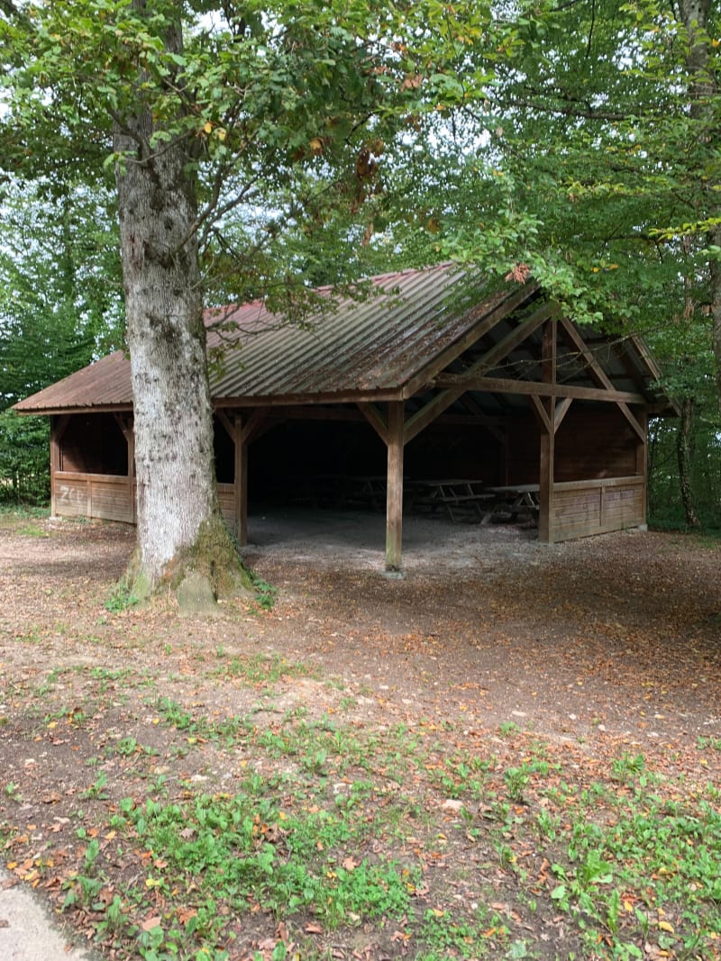 Promenade sans trop de dénivelé à Pfetterhouse - Pfetterhouse