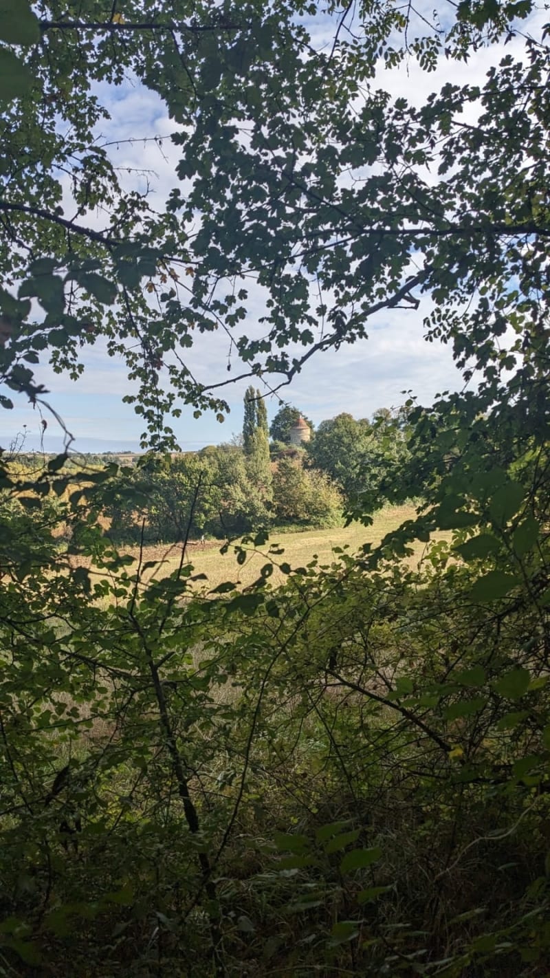 Rando La Marguerite - Nérac
