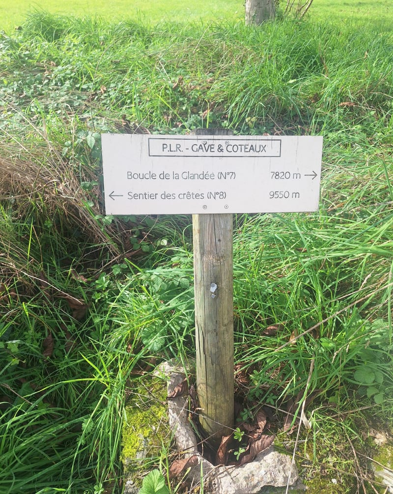 Boucle de la Glandée par Bois d'Uzo - Rontignon