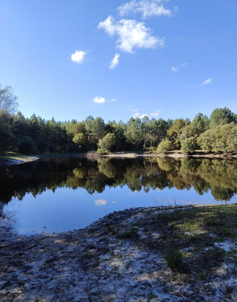 Balade en coeur de forêt - Saint-Médard-en-Jalles