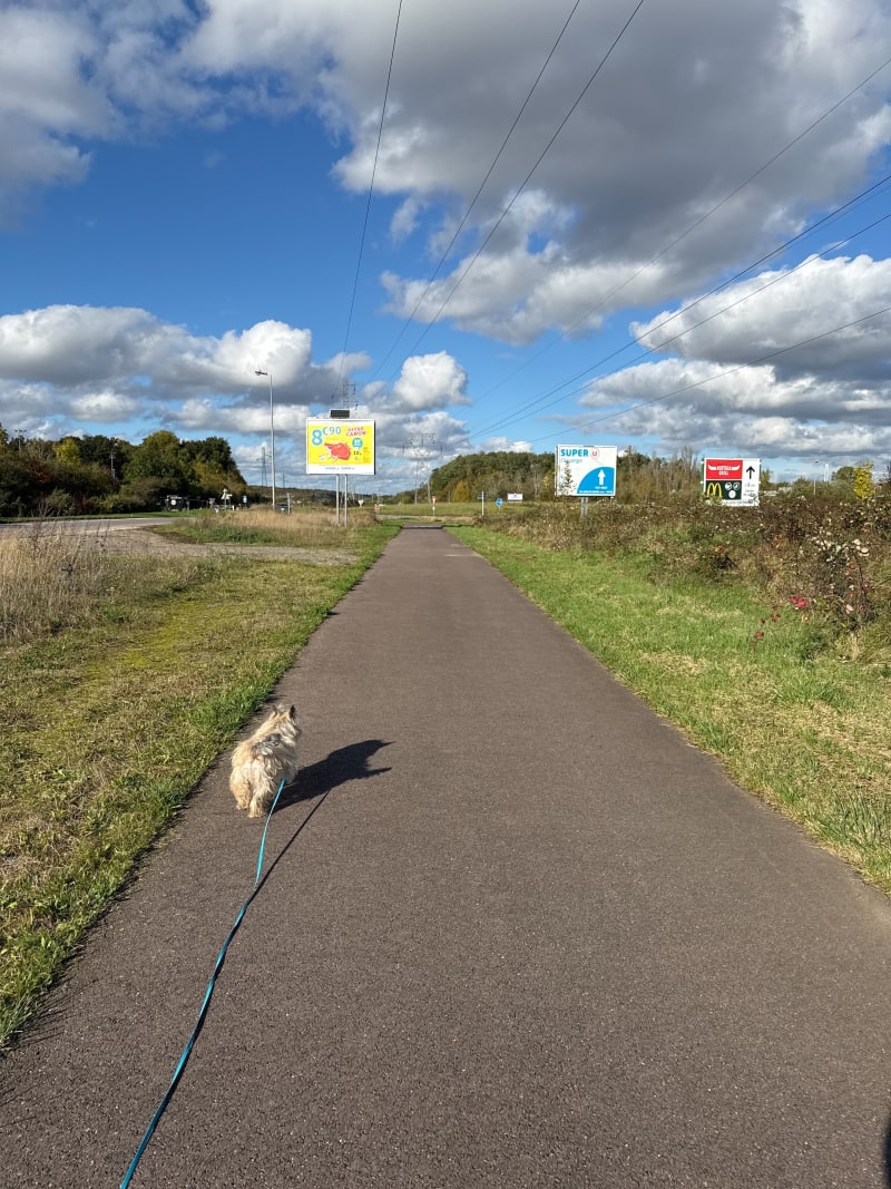 Boucle sympa à Maizières - Maizières-lès-Metz