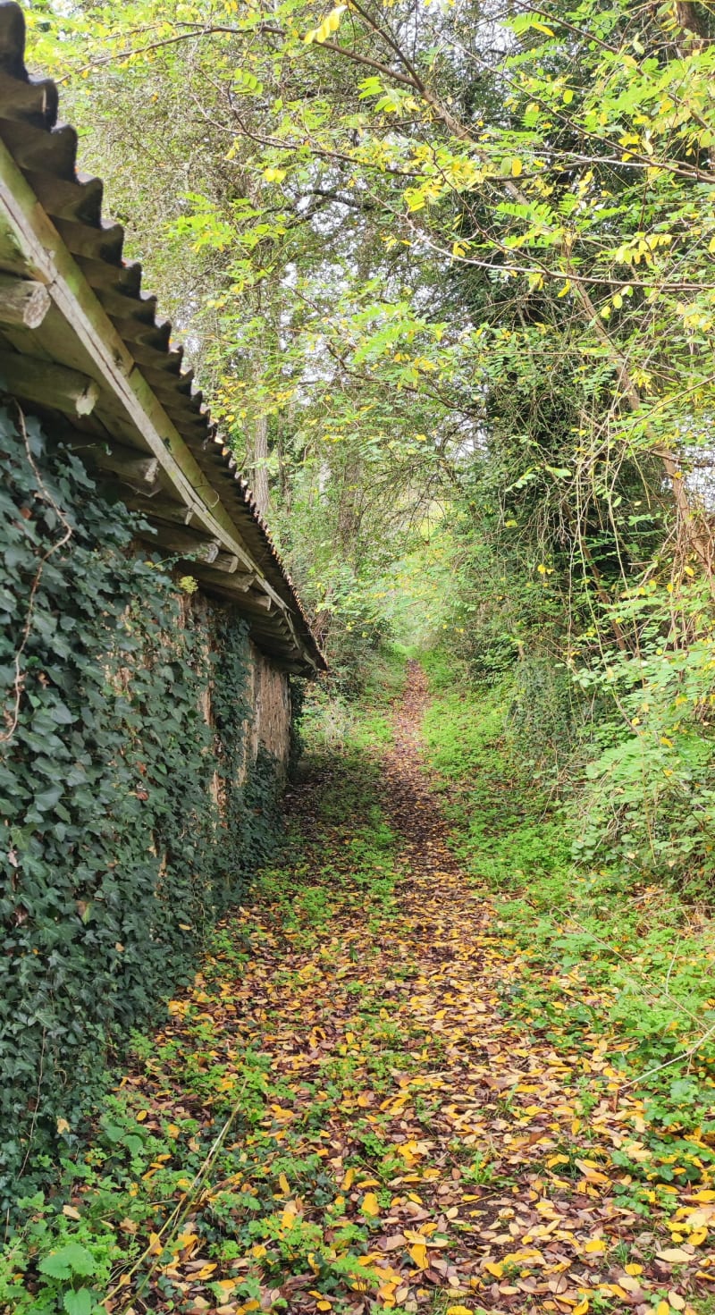 Boucle de Prapelou à Saint-Vincent-de-Connezac - Saint-Vincent-de-Connezac