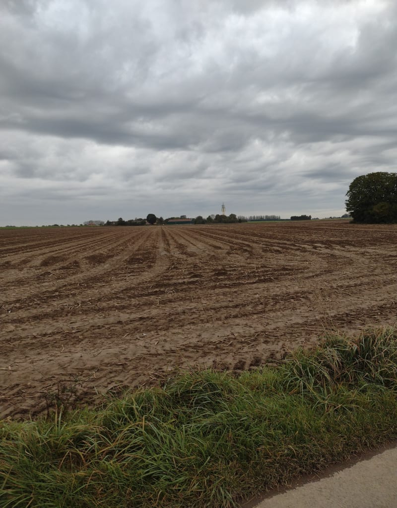 Autour du bois d'Emmerin - Wattignies