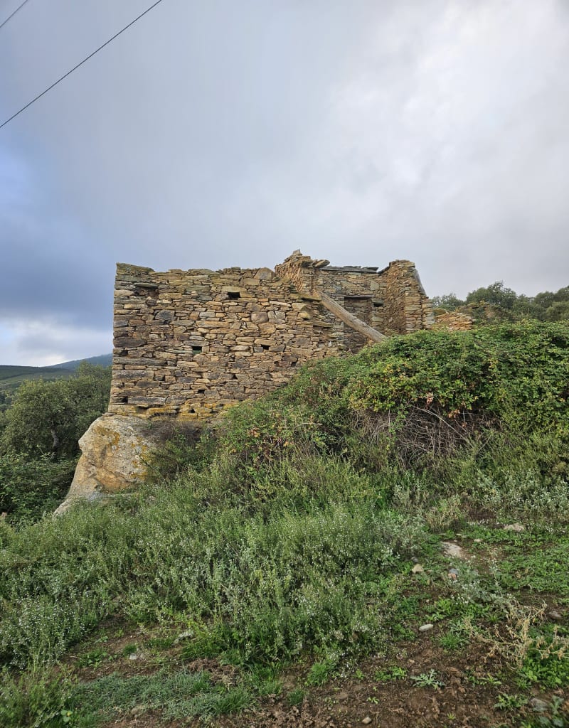 Alentour de Borgo, par Pianiggiani - Borgo
